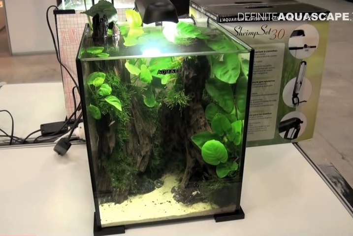 shrimpset_nano_aquascape.jpg