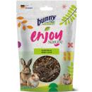 Bunny Nature Enjoy Nature Apple Wood