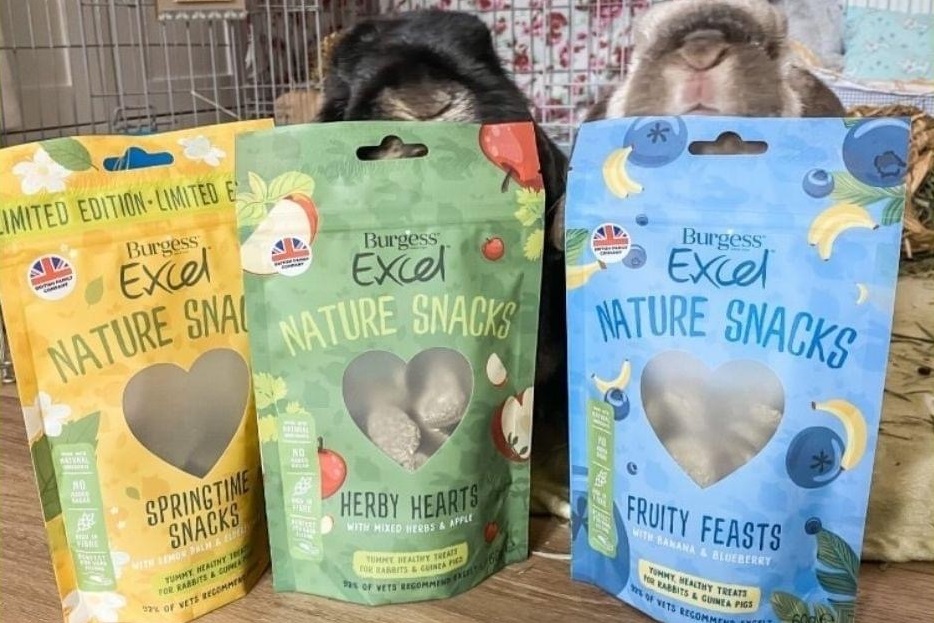 Healthy treats outlet for guinea pigs