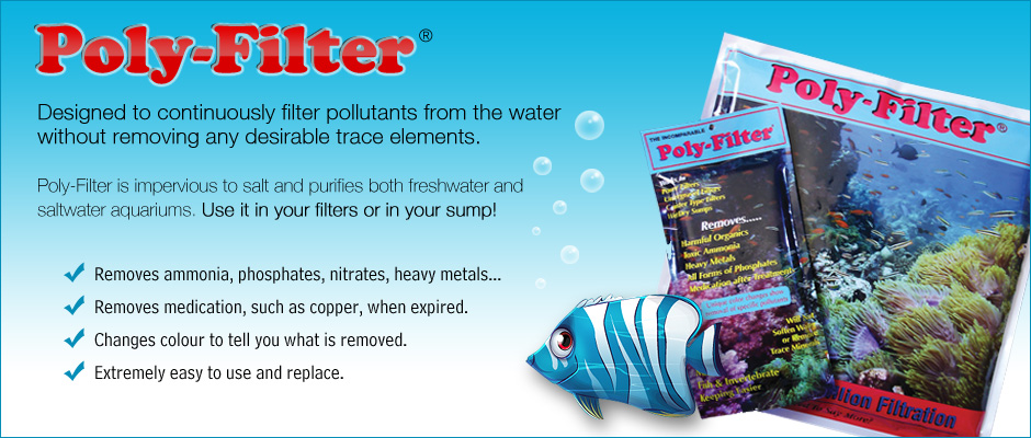 Poly hotsell filter aquarium